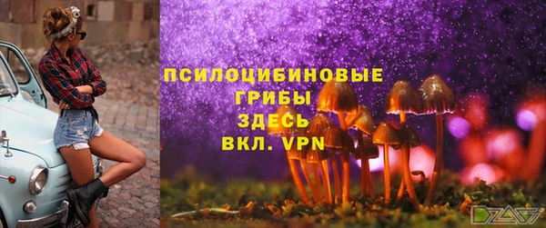 MESCALINE Белокуриха